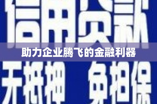 广元助力企业腾飞的金融利器
