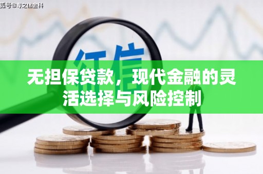广元无担保贷款，现代金融的灵活选择与风险控制