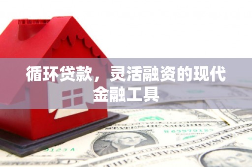 广元循环贷款，灵活融资的现代金融工具