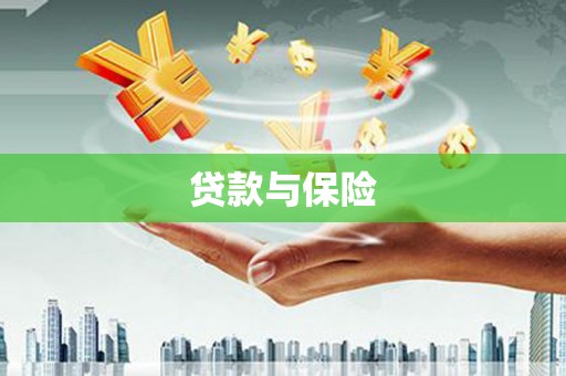 广元贷款与保险