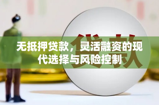 广元无抵押贷款，灵活融资的现代选择与风险控制