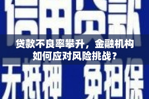 广元贷款不良率攀升，金融机构如何应对风险挑战？