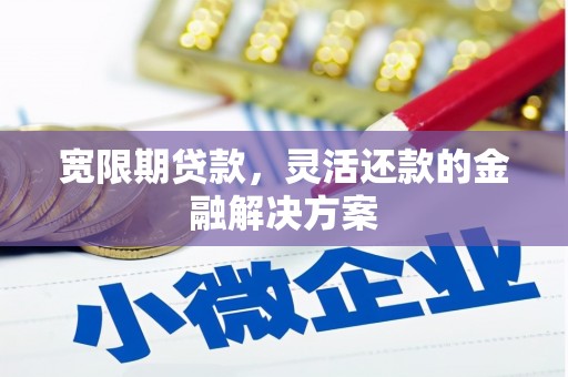 广元宽限期贷款，灵活还款的金融解决方案