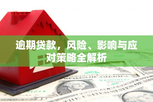 广元逾期贷款，风险、影响与应对策略全解析