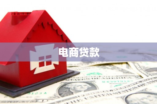广元电商贷款