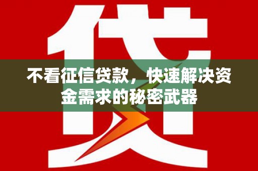 广元不看征信贷款，快速解决资金需求的秘密武器