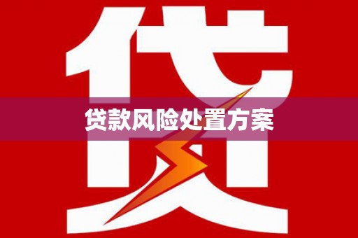 广元贷款风险处置方案