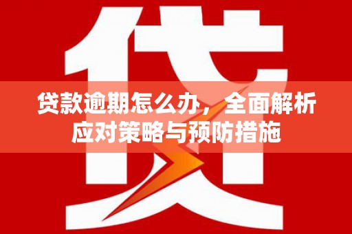 广元贷款逾期怎么办，全面解析应对策略与预防措施