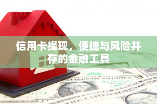 广元信用卡提现，便捷与风险并存的金融工具