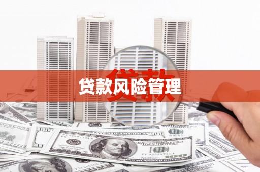 广元贷款风险管理