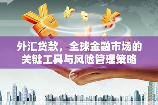 广元外汇贷款，全球金融市场的关键工具与风险管理策略