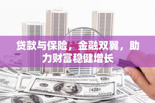 广元贷款与保险，金融双翼，助力财富稳健增长