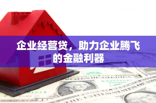 广元企业经营贷，助力企业腾飞的金融利器