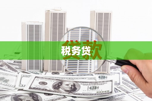 广元税务贷