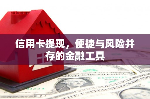 广元信用卡提现，便捷与风险并存的金融工具