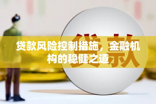 广元贷款风险控制措施，金融机构的稳健之道