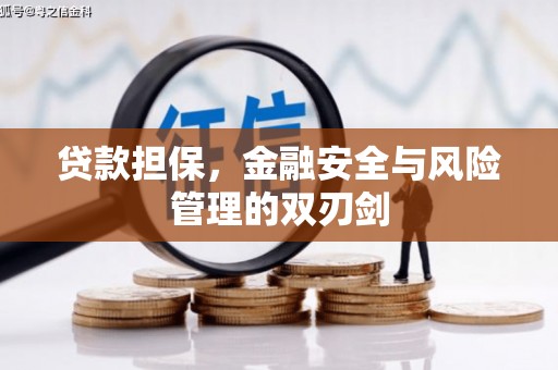 广元贷款担保，金融安全与风险管理的双刃剑