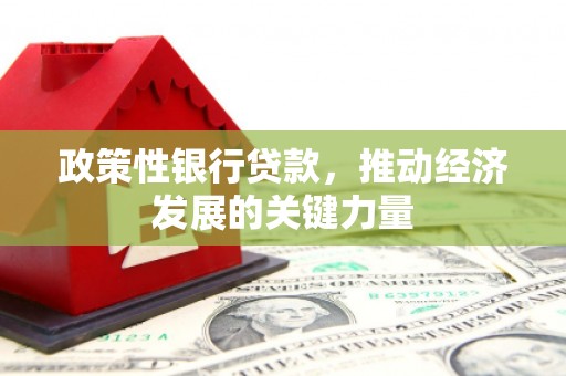 广元政策性银行贷款，推动经济发展的关键力量