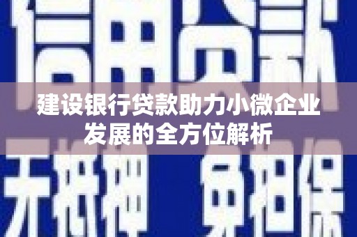 广元建设银行贷款助力小微企业发展的全方位解析