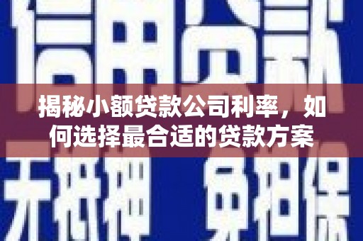 广元揭秘小额贷款公司利率，如何选择最合适的贷款方案