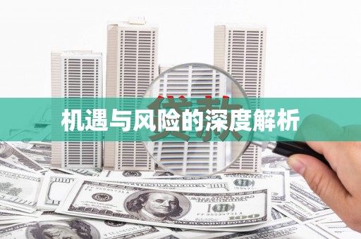 广元机遇与风险的深度解析