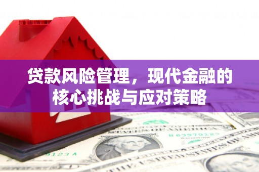 广元贷款风险管理，现代金融的核心挑战与应对策略