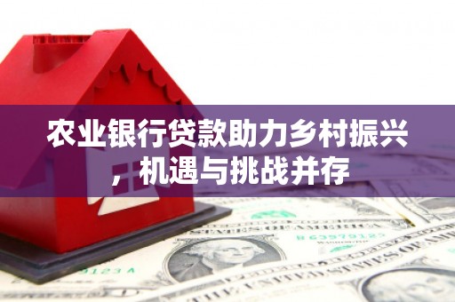 广元农业银行贷款助力乡村振兴，机遇与挑战并存