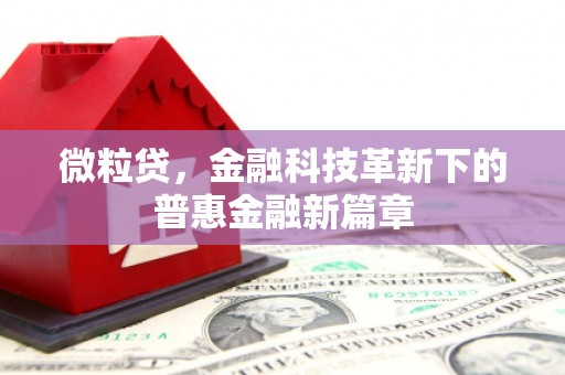 广元微粒贷，金融科技革新下的普惠金融新篇章