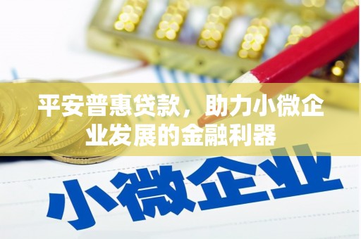 广元平安普惠贷款，助力小微企业发展的金融利器