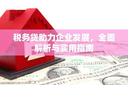 广元税务贷助力企业发展，全面解析与实用指南