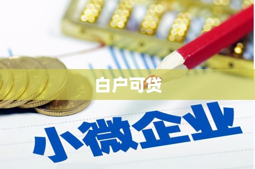 广元白户可贷