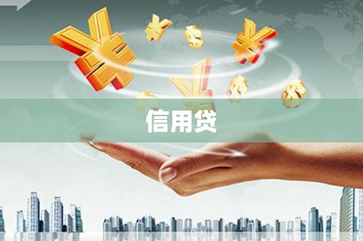 广元信用贷