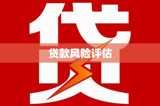 广元贷款风险评估