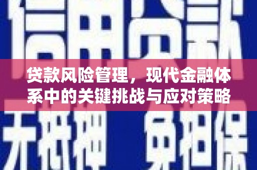 广元贷款风险管理，现代金融体系中的关键挑战与应对策略