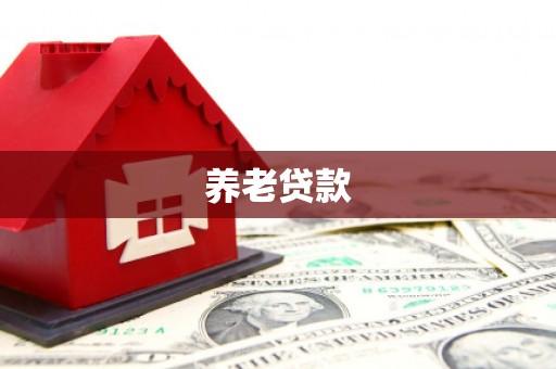 广元养老贷款