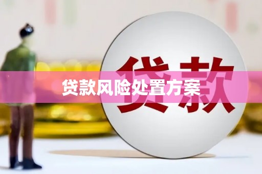 广元贷款风险处置方案