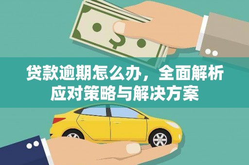 广元贷款逾期怎么办，全面解析应对策略与解决方案