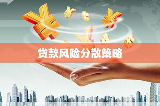 广元贷款风险分散策略
