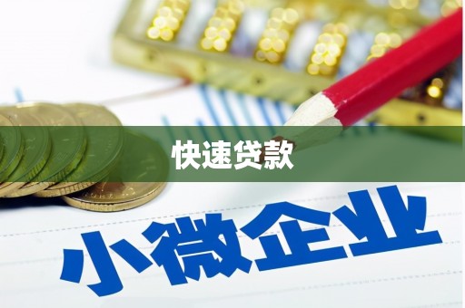 广元快速贷款