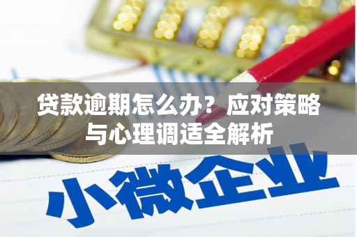 广元贷款逾期怎么办？应对策略与心理调适全解析