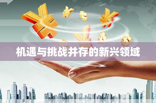 广元机遇与挑战并存的新兴领域